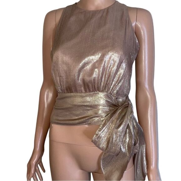 MILLY Women's Metallic Lurex Silk blend Chiffon Lauren Top pink waist tie SZ 6 - Picture 4 of 14